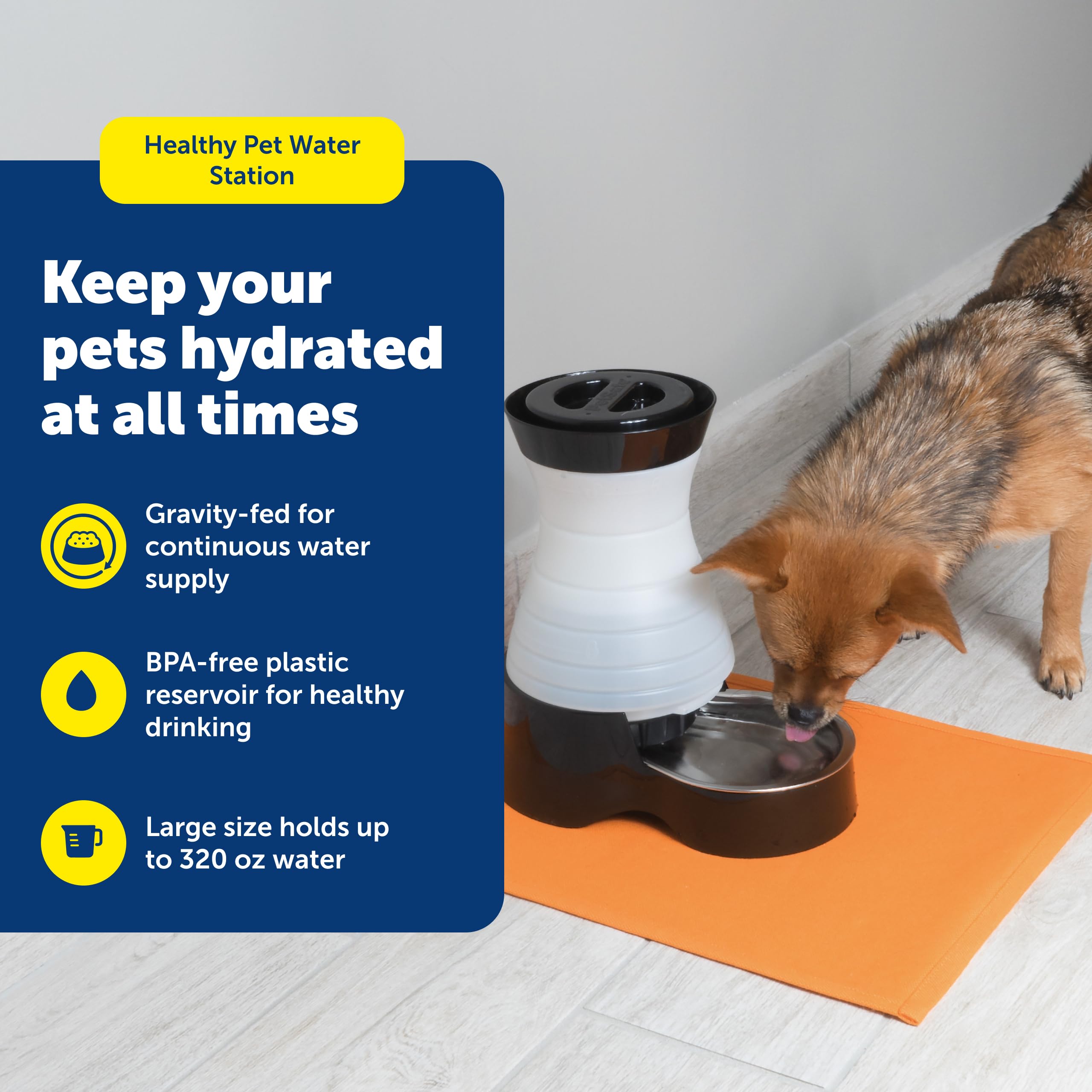 PetSafe Healthy Pet Water Station con cuenco de acero inoxidable higiénico y duradero.