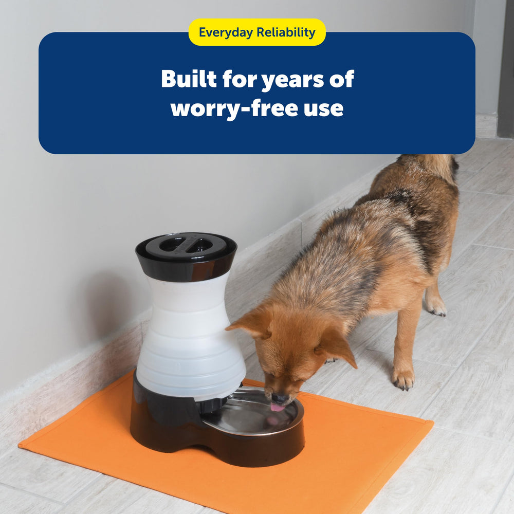 PetSafe Estación de Agua con cuenco removible apto para lavavajillas.