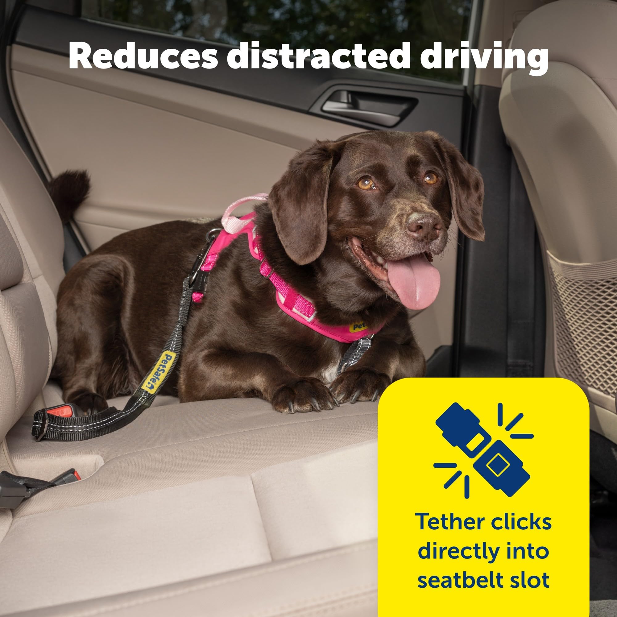 PetSafe, instalación rápida en la hebilla, fácil transferencia entre vehículos.