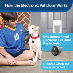 PetSafe Instalacion-facil-puerta-mascotas: instalación rápida en puertas estándar.