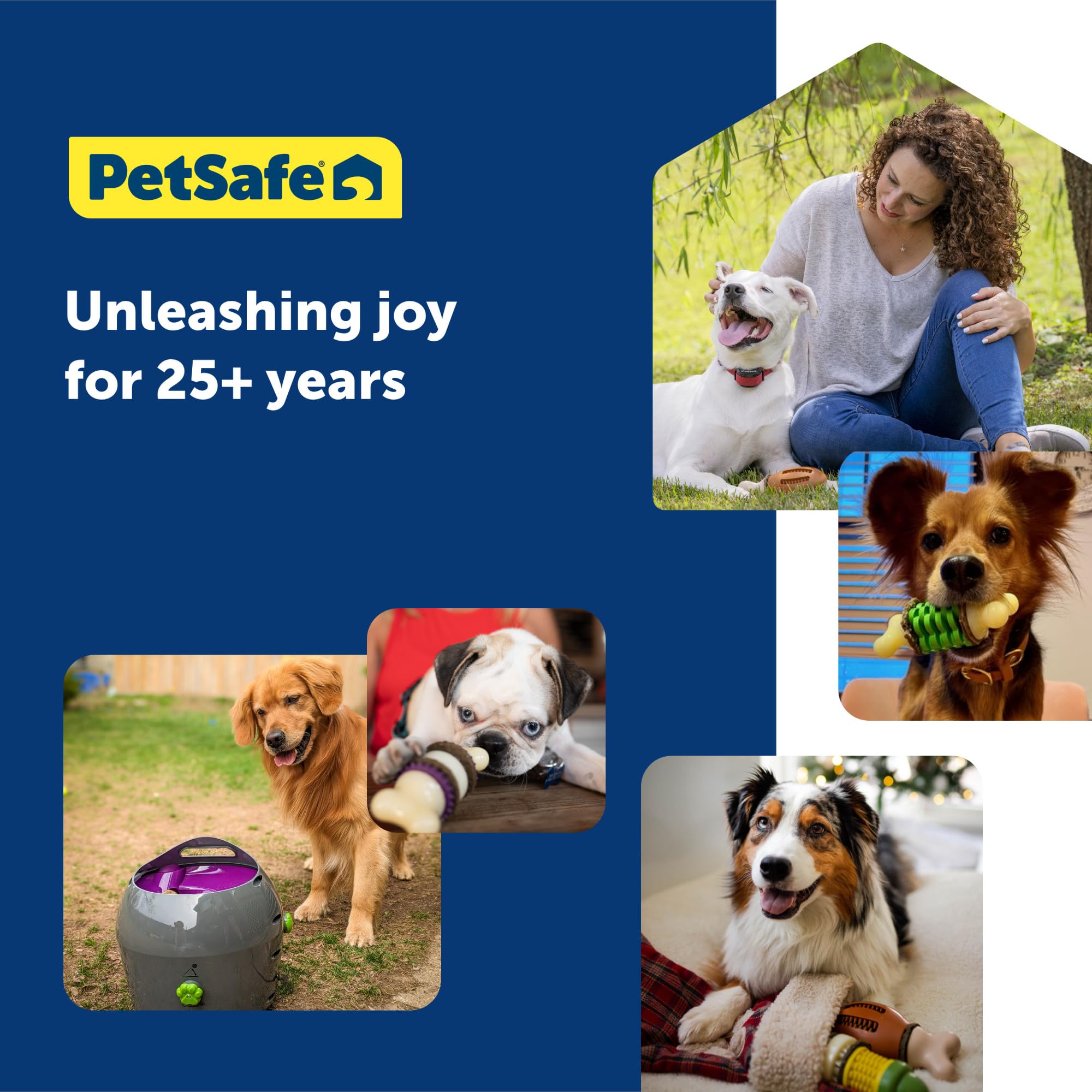 PetSafe Juguete apto para interior y exterior para mantener activo al perro