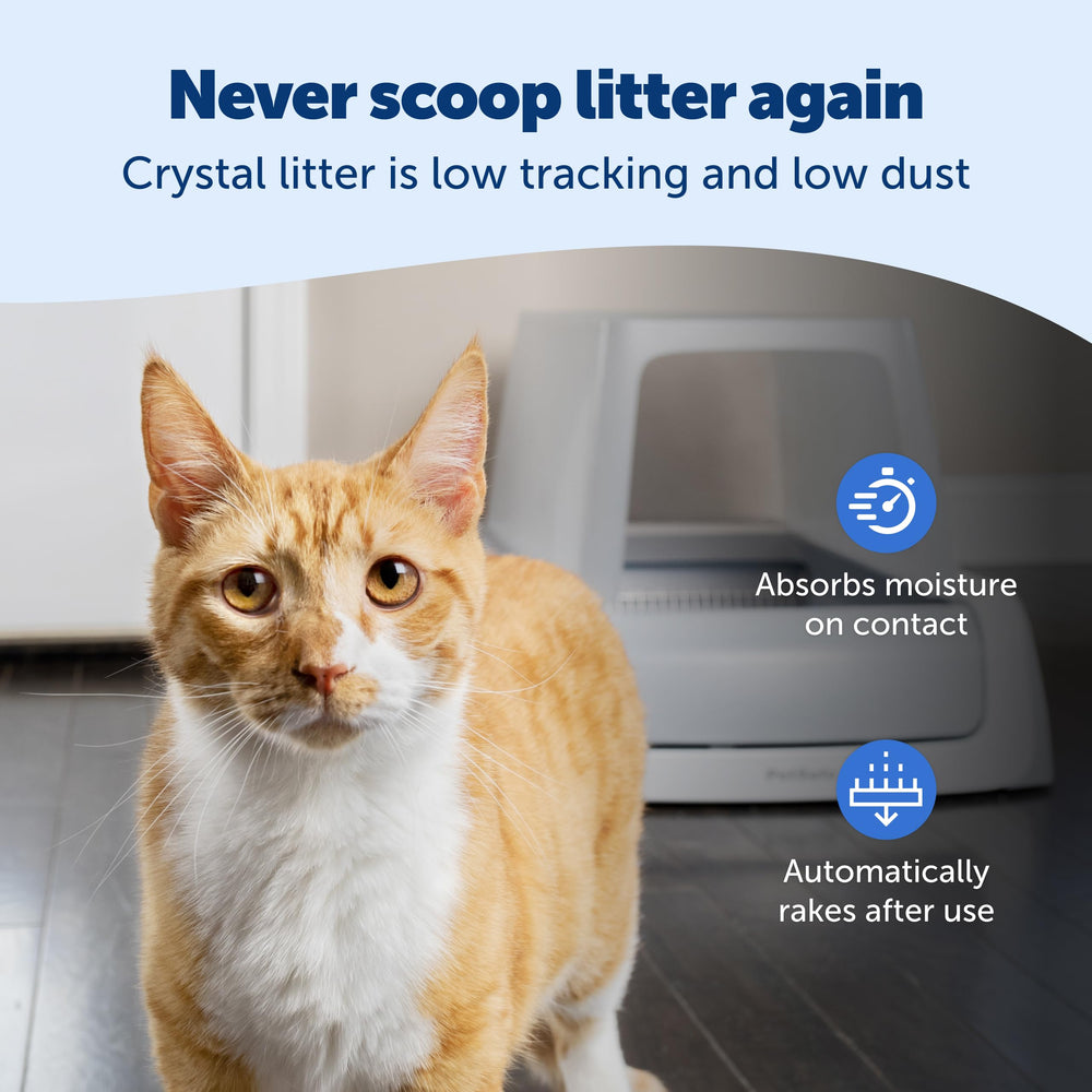 PetSafe Legacy ScoopFree Crystal Pro contador-salud, seguimiento del uso de la caja.