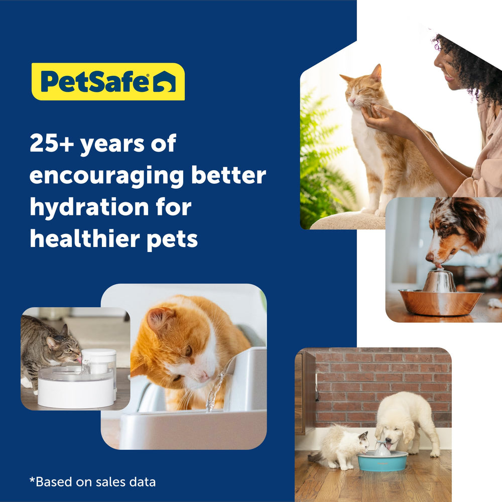 PetSafe, líder global en innovación para mascotas.