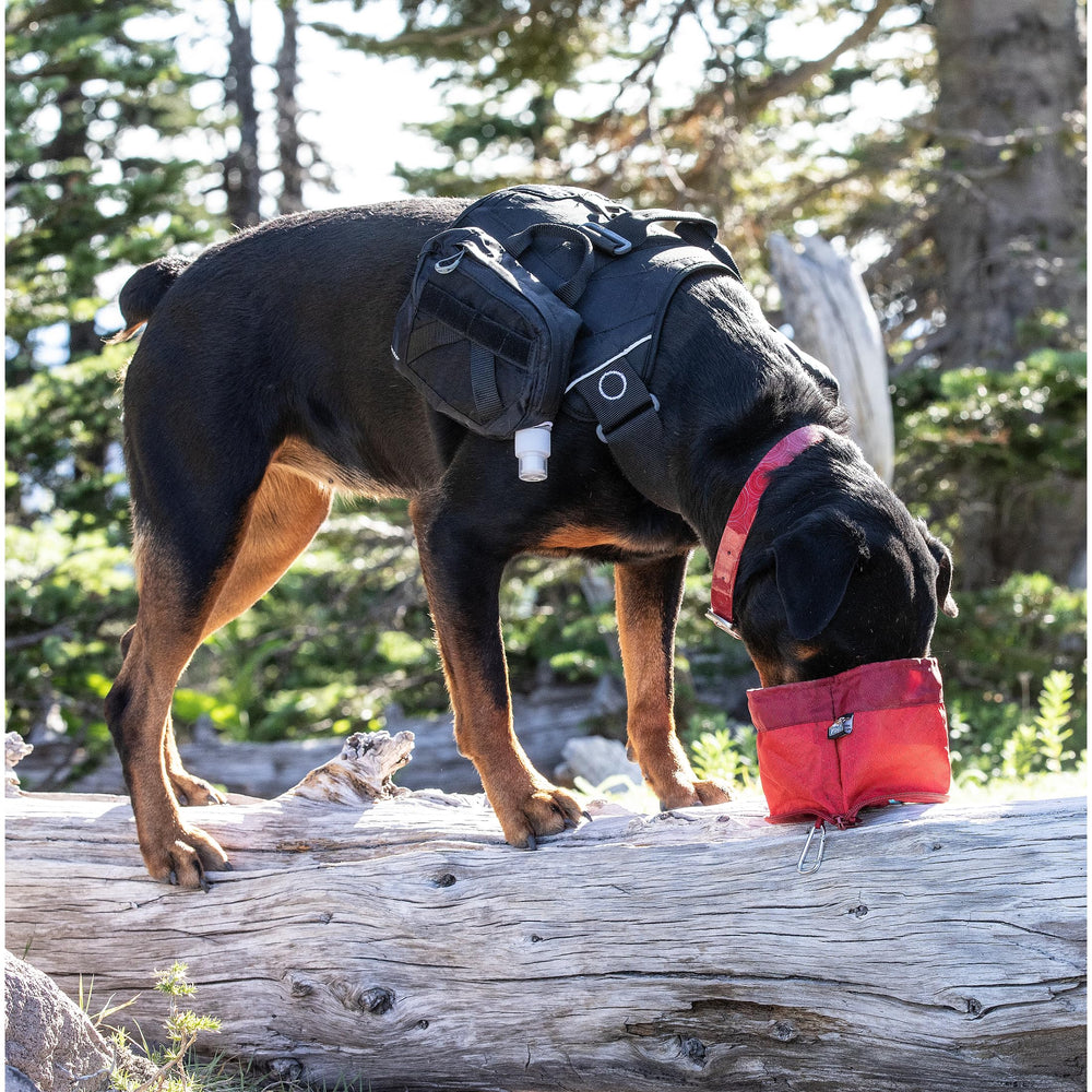 PetSafe marco de aluminio reforzado para uso multi-mascota