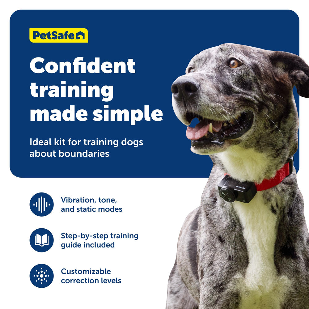 Collar PetSafe con modo tono solo para entrenamiento suave.