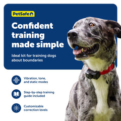 Collar PetSafe con modo tono solo para entrenamiento suave.