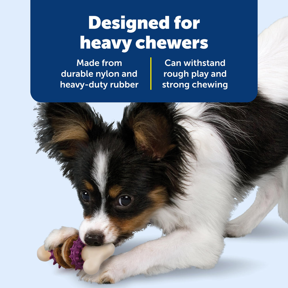 PetSafe Busy Buddy Bristle Bone apto para lavavajillas y limpieza fácil.