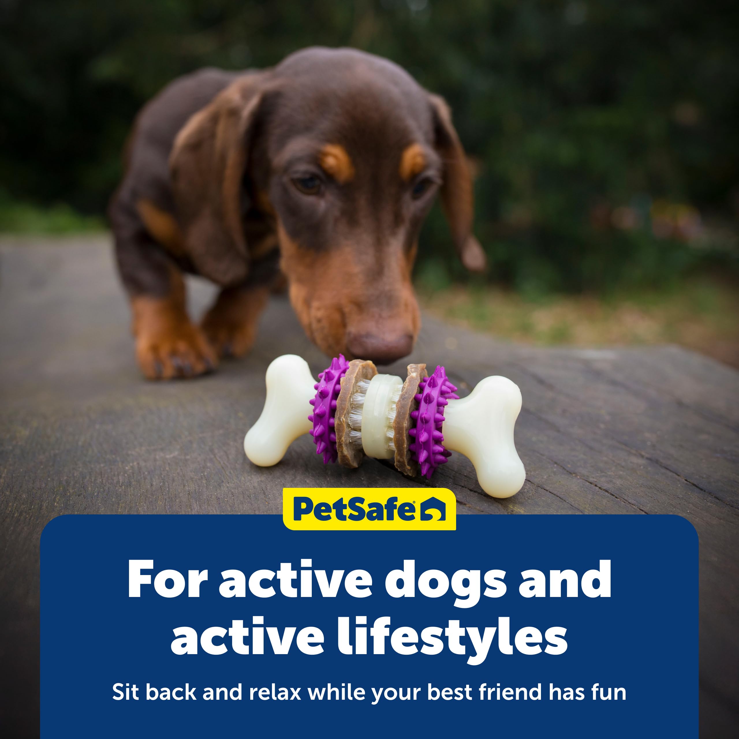 PetSafe Busy Buddy Bristle Bone ideal para juego interior y exterior enriquecido.