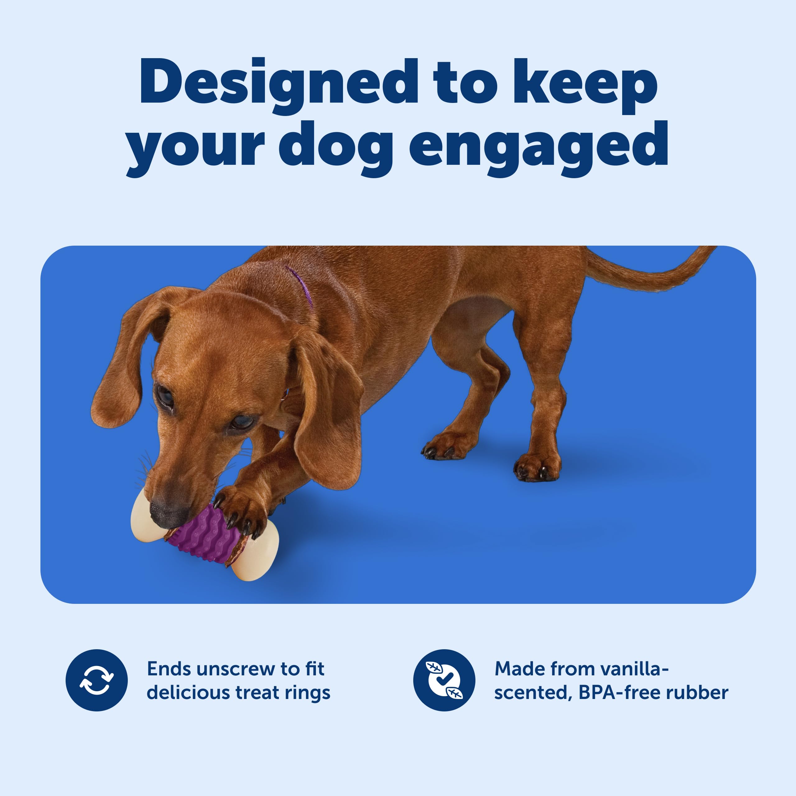 PetSafe Nobbly Nubbly: cavidad-para-premios facilita rellenar con snacks para mayor desafío.