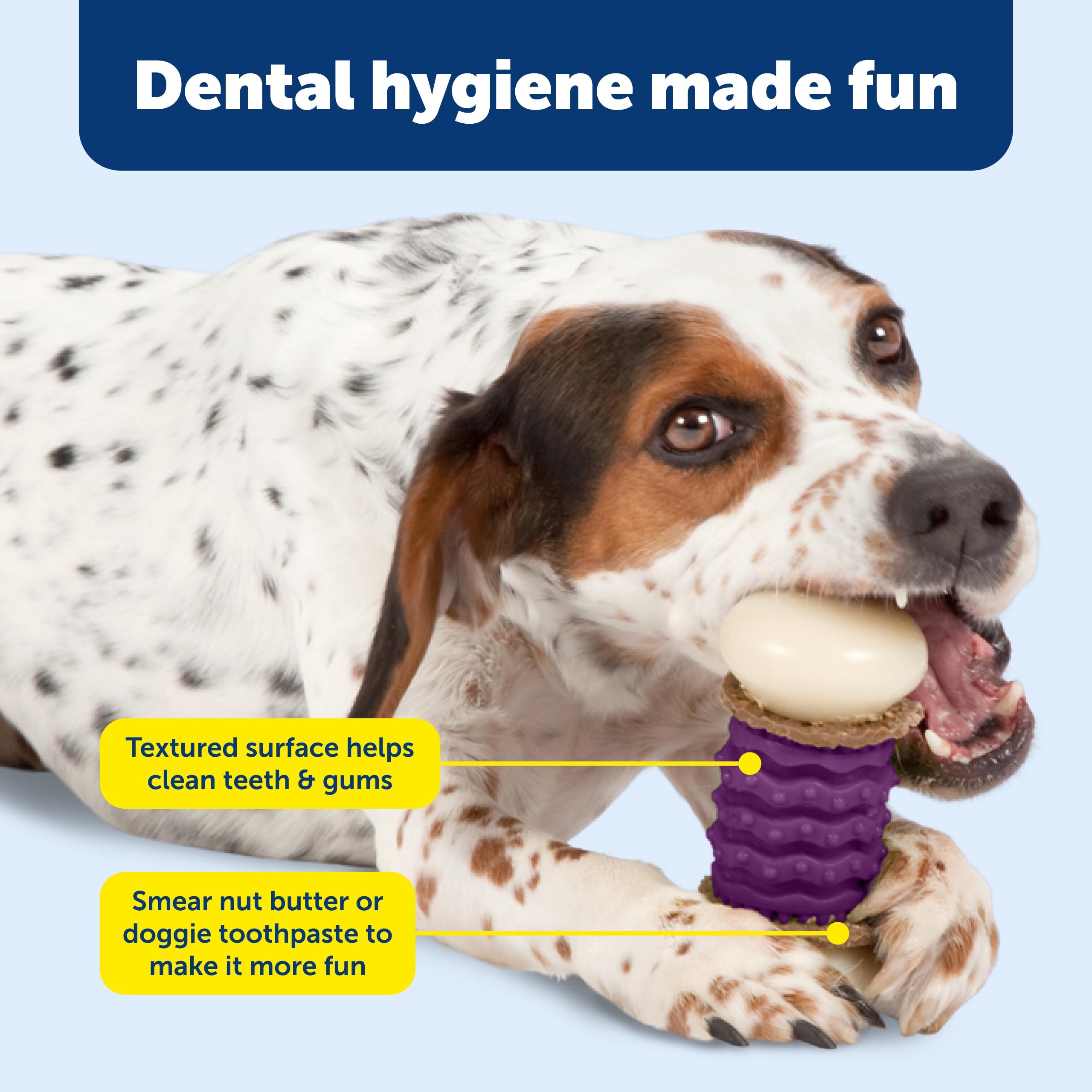 PetSafe Nobbly Nubbly: exterior-nylon-resistente brinda juego duradero y limpieza fácil.