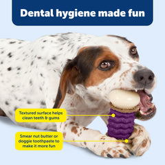 PetSafe Nobbly Nubbly: exterior-nylon-resistente brinda juego duradero y limpieza fácil.