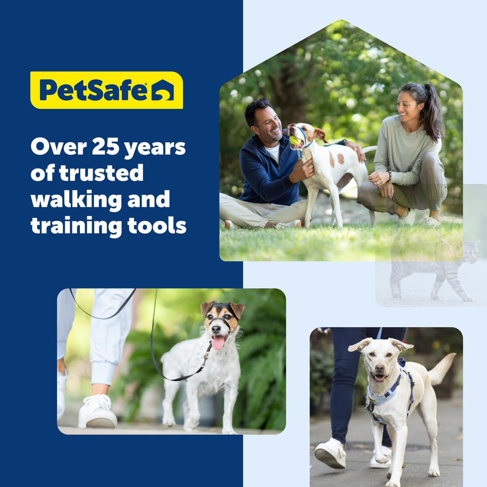 PetSafe correa de nailon, control seguro para caminatas en la ciudad y naturaleza.