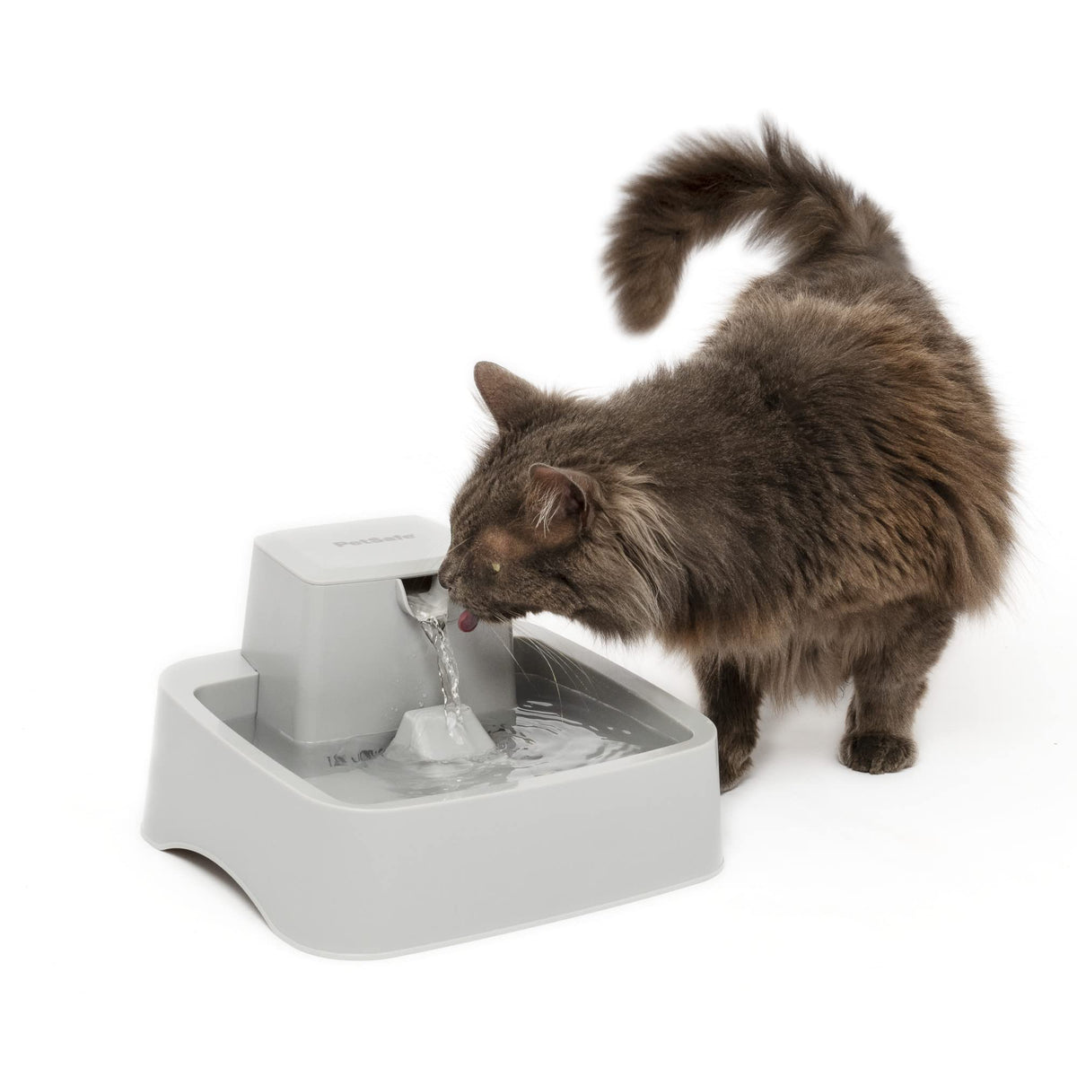 PetSafe Oasys: corriente libre para beber cómodo y suave.