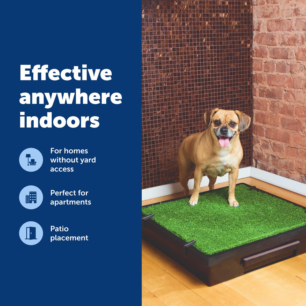 PetSafe Pet Loo sistema de control de olor para interiores.