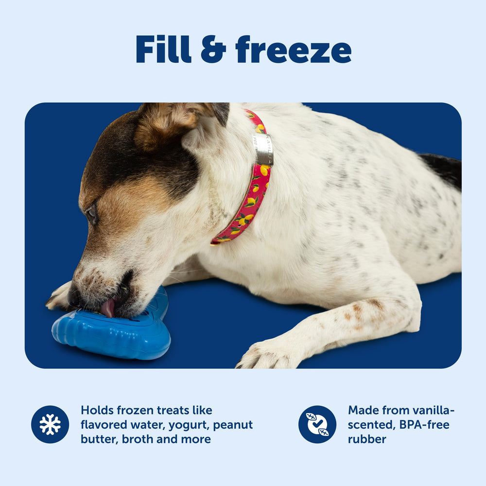 PetSafe Pinguino Frío, apto para lavavajillas en la rejilla superior, limpieza fácil.