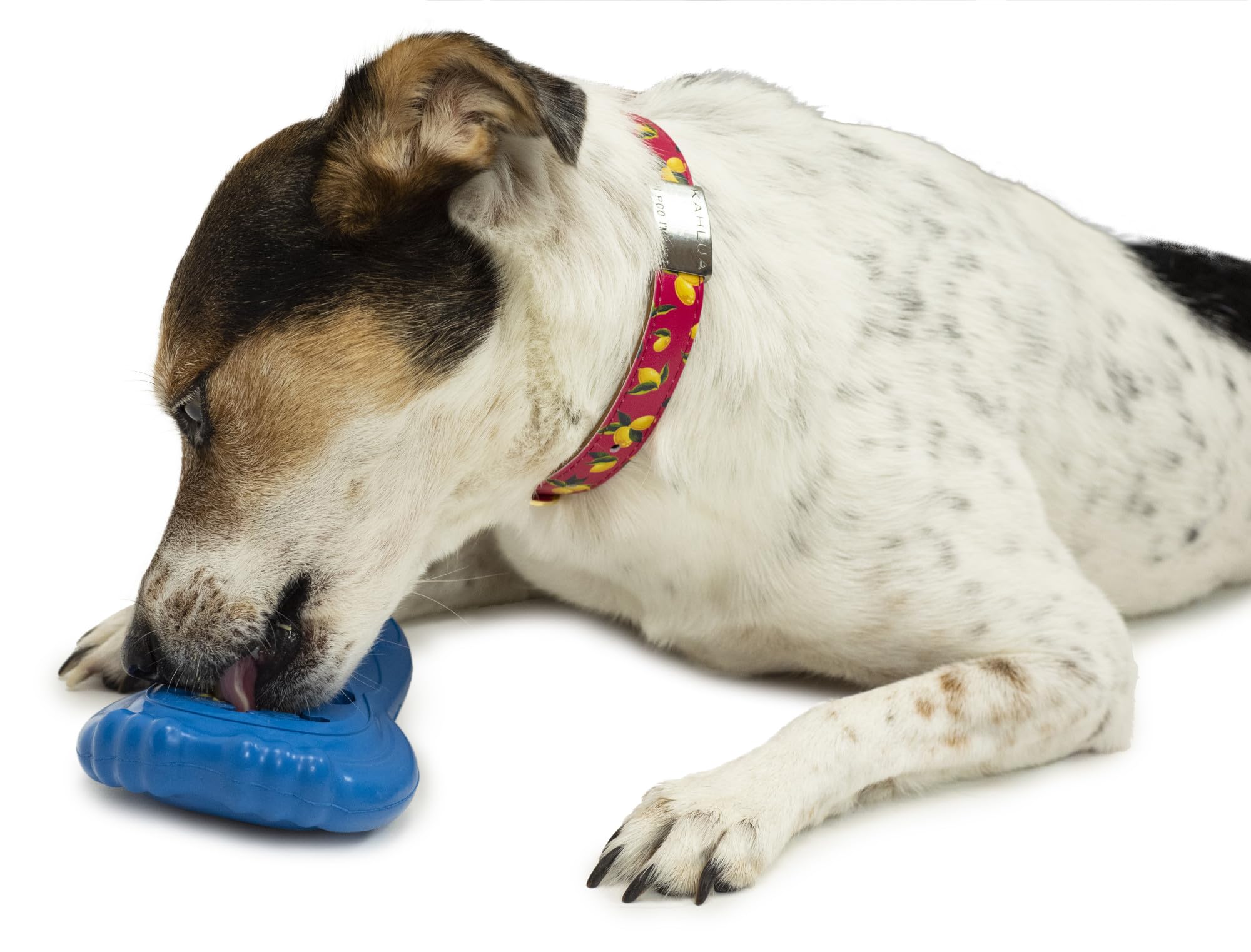 PetSafe pinguino frio: relleno con golosinas congeladas para recompensa fría.