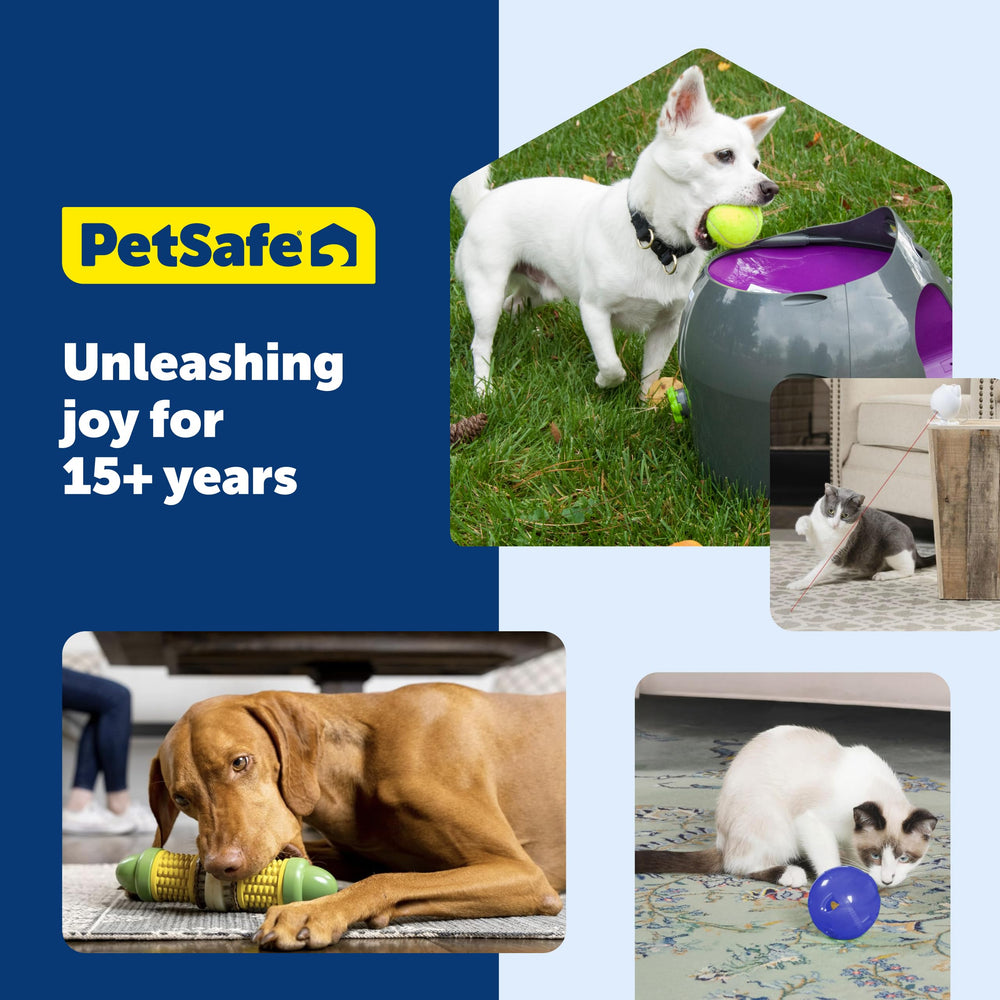 PetSafe premio para juguete interactivo y juego diario