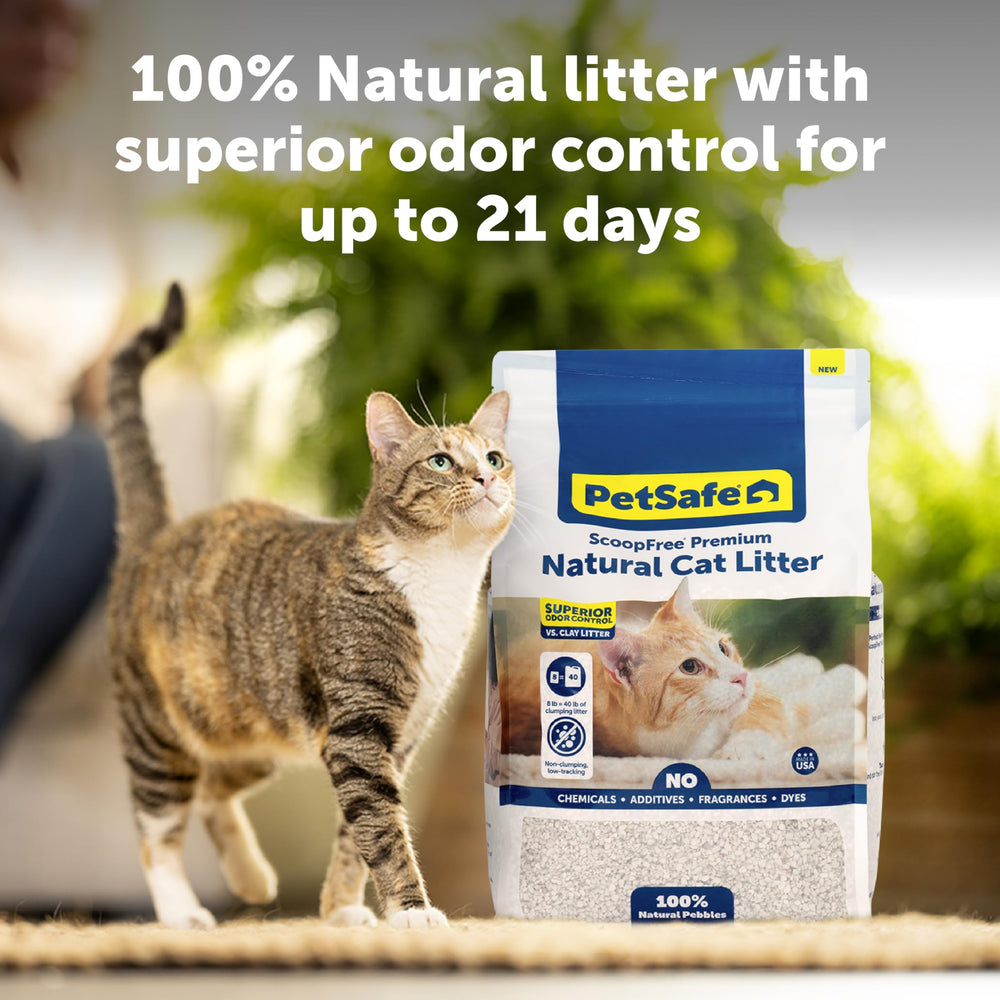 PetSafe ScoopFree Premium sin aditivos, perfecto para hogares sensibles a fragancias