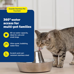 PetSafe Seaside capacidad de 60 oz, ideal para varias mascotas