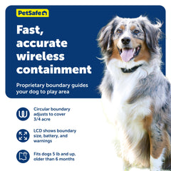 PetSafe Stay and Play: collar receptor impermeable para uso diario