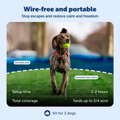PetSafe Stay & Play Delimitador circular, perímetro ajustable para patios.