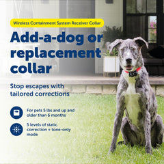 Transmisor de entrenamiento PetSafe inalámbrico, fácil de instalar en interiores.