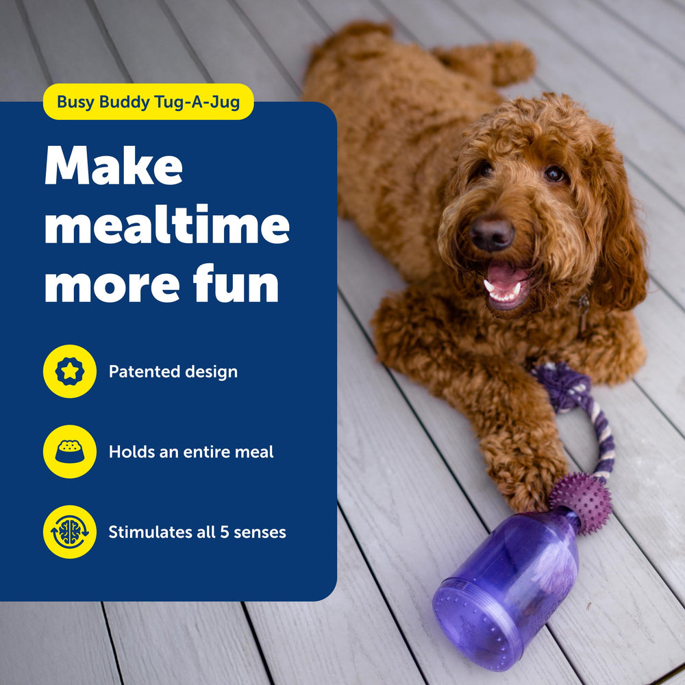 PetSafe Tug-A-Jug con cuerda trenzada para tirar, perfecto para juego activo
