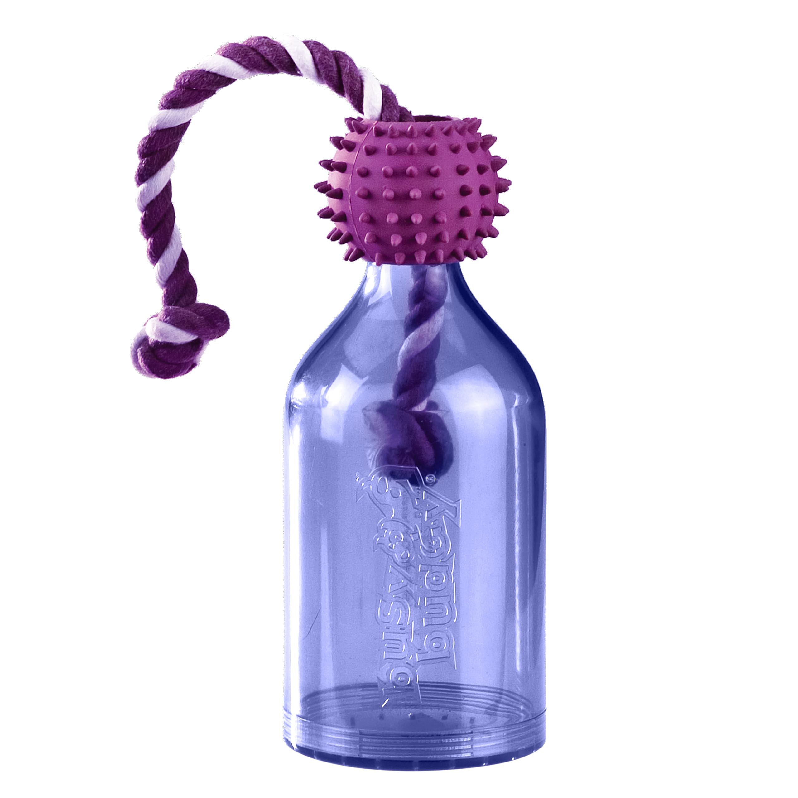PetSafe Tug-A-Jug dispensador de premios interactivo para estimular la mente del perro