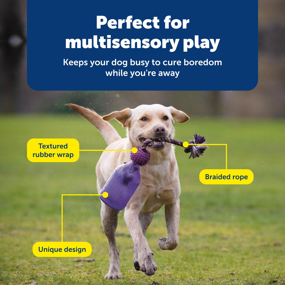 PetSafe Tug-A-Jug estimula la mente y los sentidos durante el juego