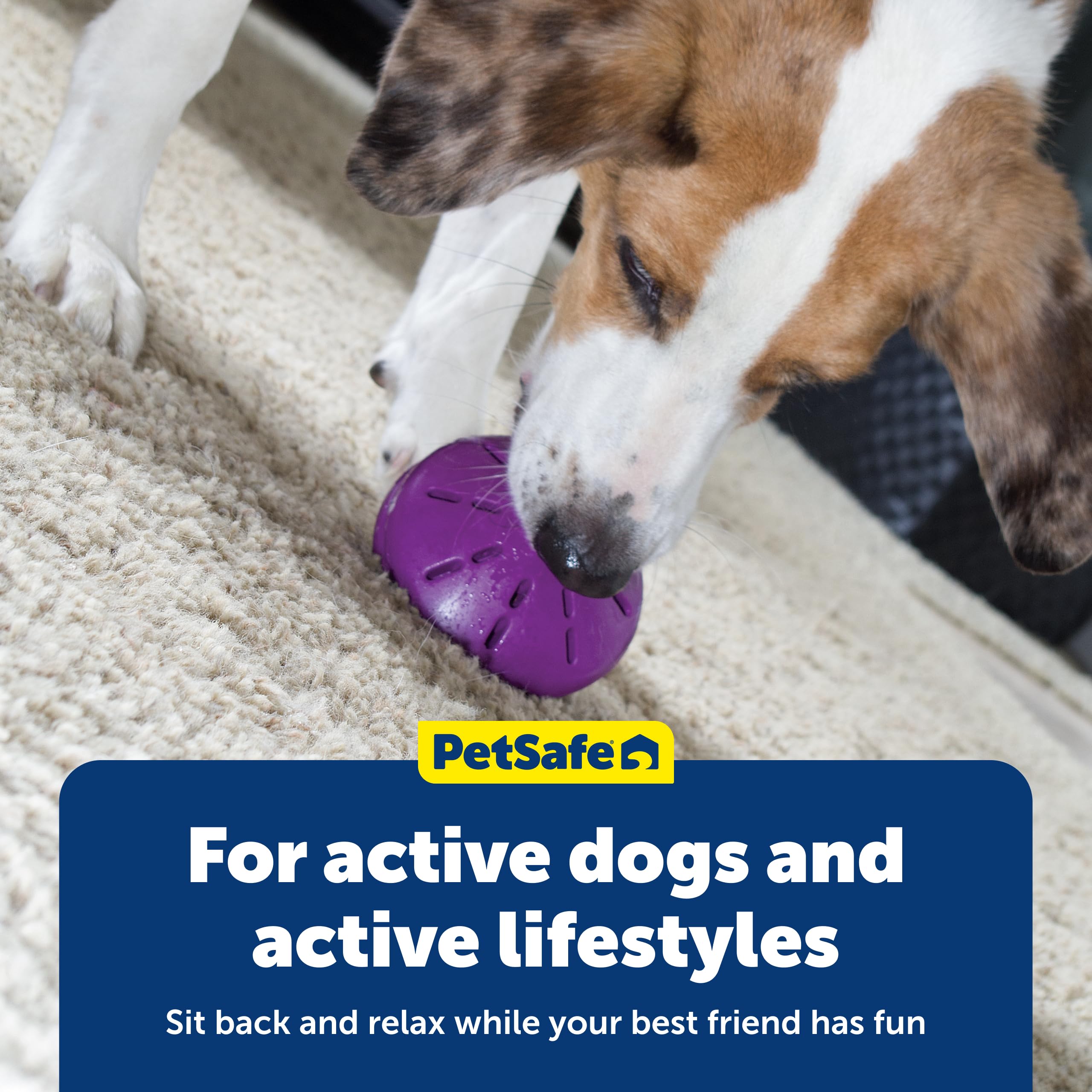 PetSafe Twist'n Treat: perfecto para entrenamiento y refuerzo durante el día.