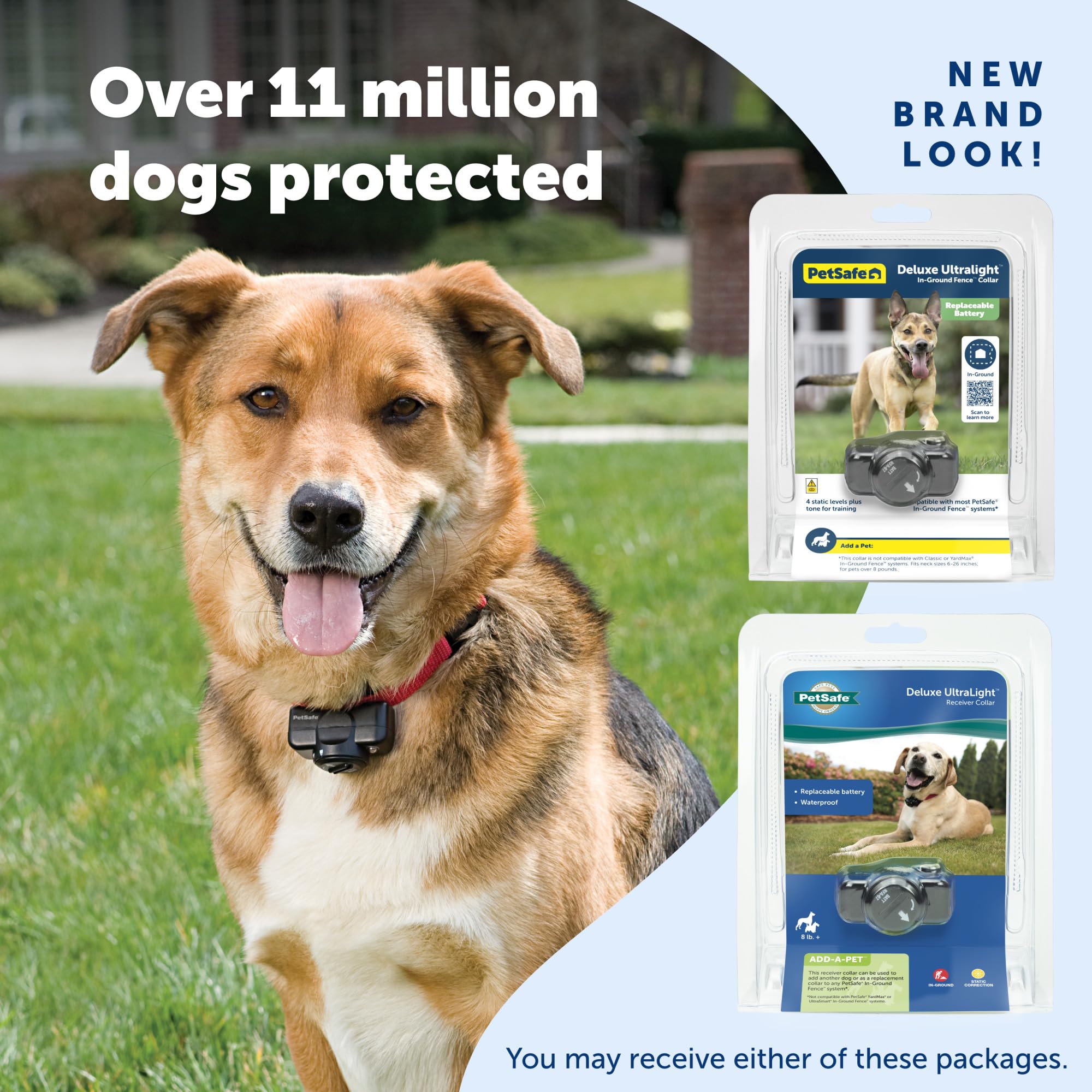 Campo de juego exterior seguro con PetSafe para perros.