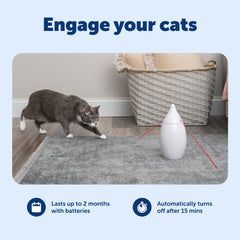 Funcionamiento silencioso del PetSafe Zoom para gatos tímidos.