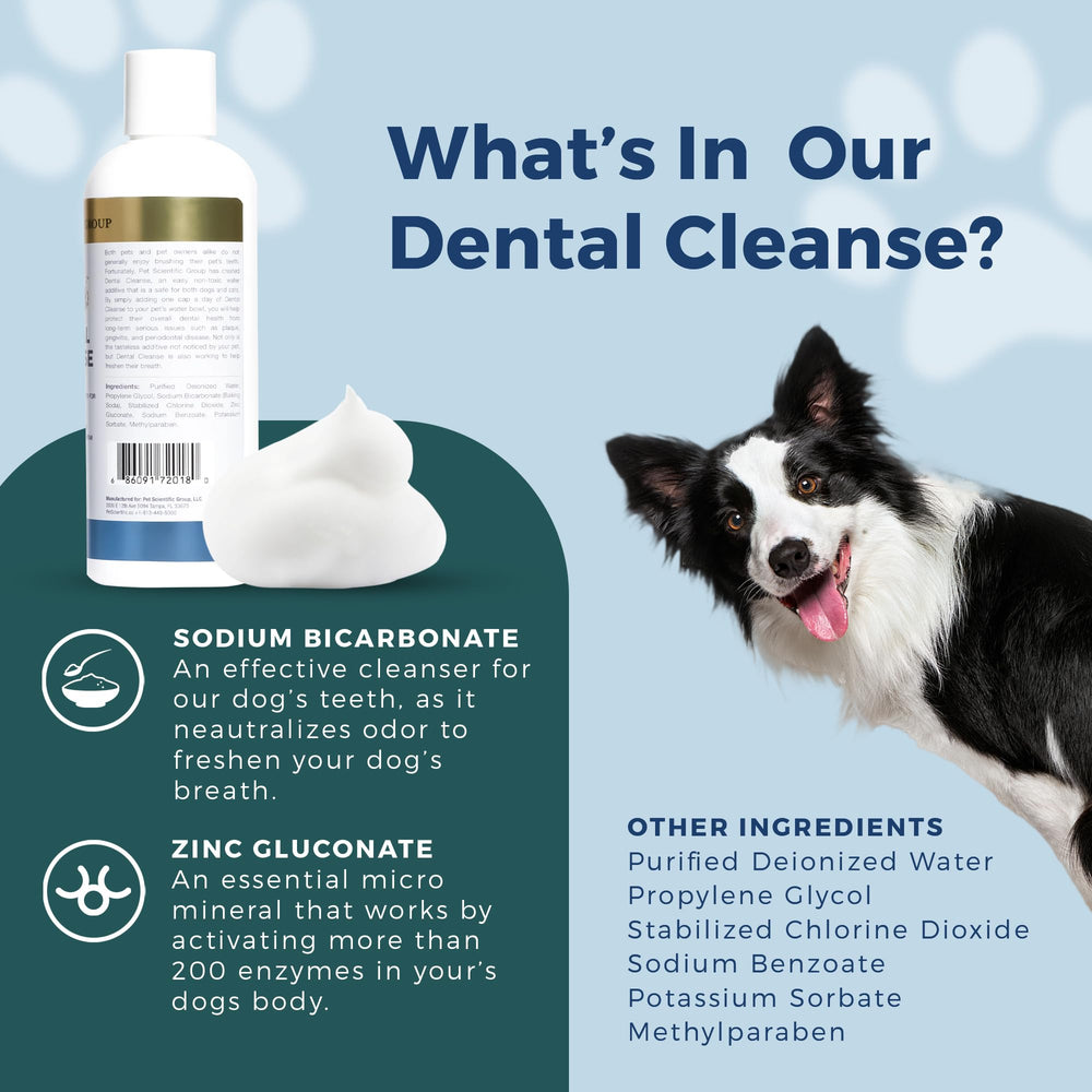 Petscy Dental Cleanse ingredientes naturales para cuidado dental sin aditivos artificiales.
