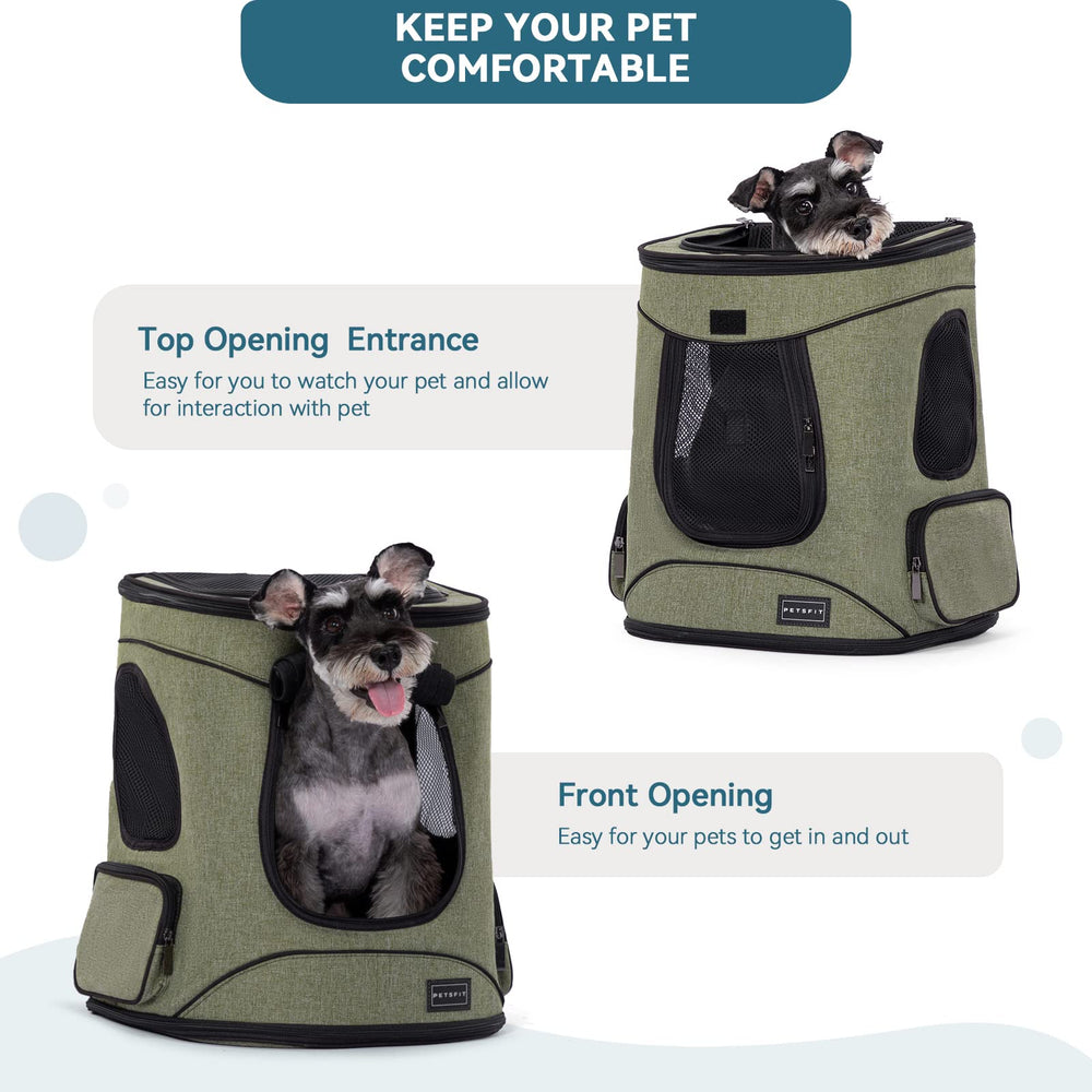 Petsfit perfecto para paseos y salidas al aire libre