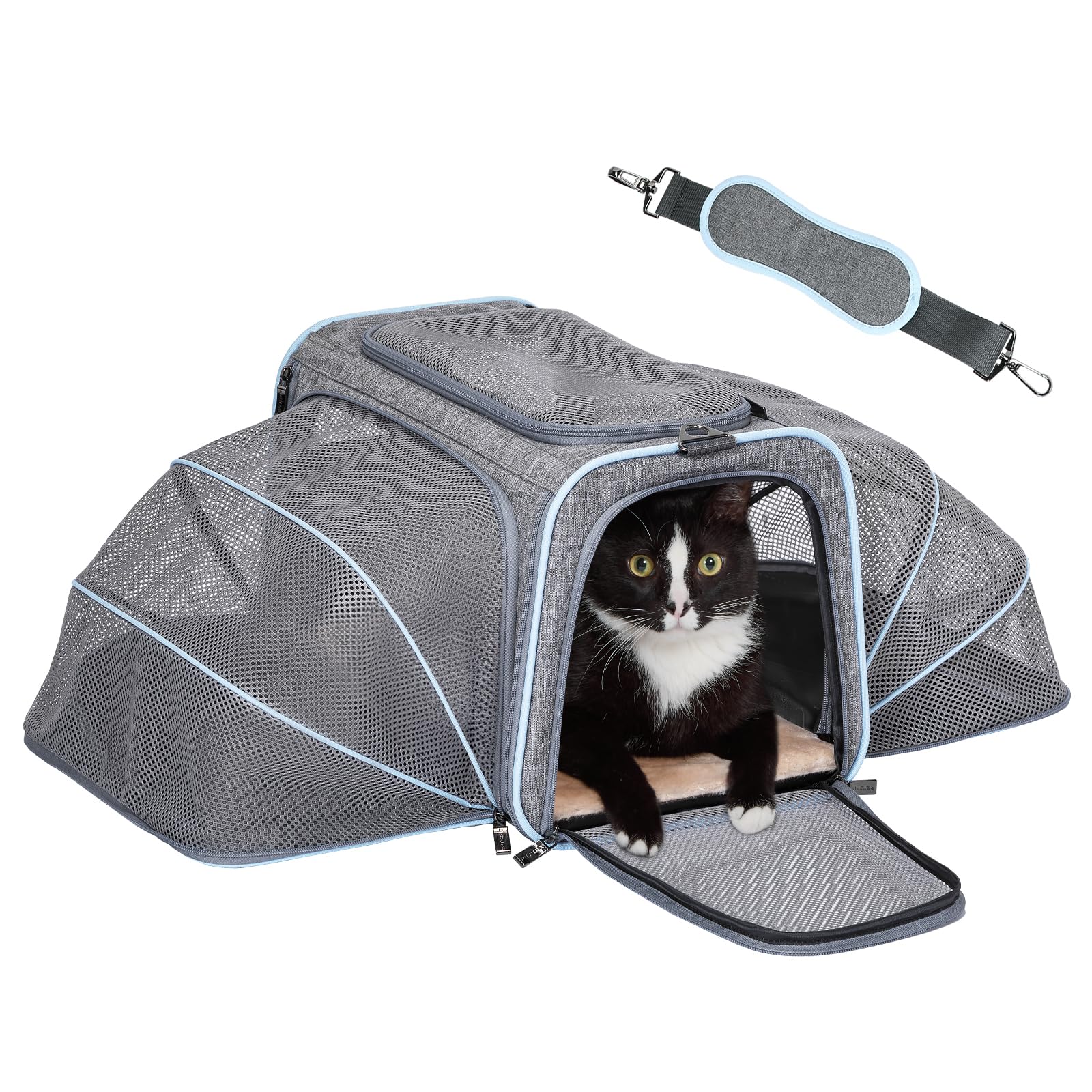 Petsfit transportín expandible para gatos y perros con ventanas de malla ventilada.