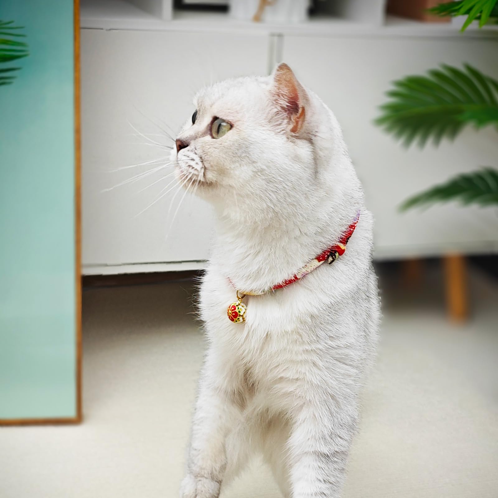 Ajuste ajustable de PetsMeow para gatitos y gatos adultos, cómodo.