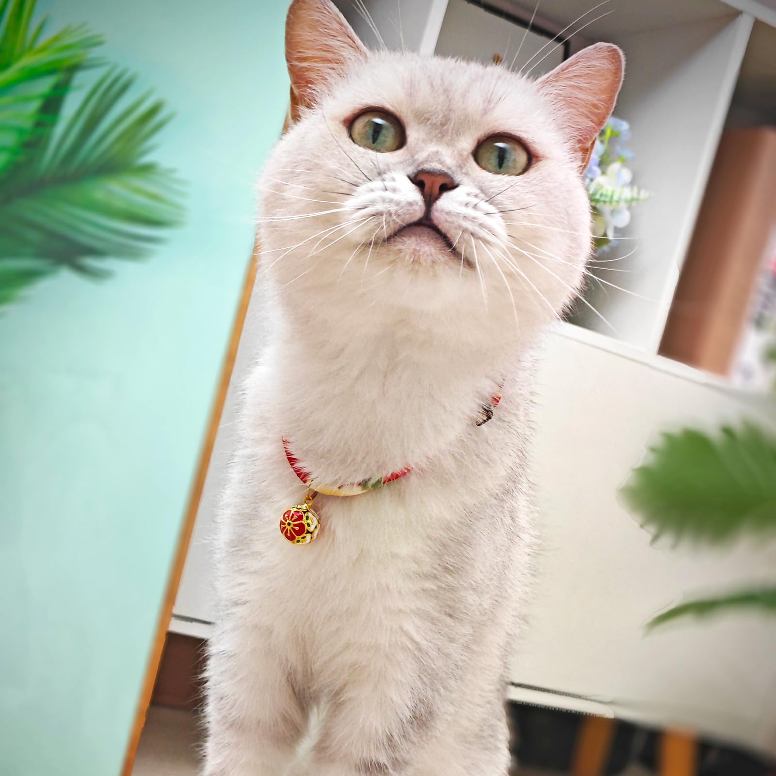 Collar PetsMeow con hebilla de liberación, seguridad durante el juego