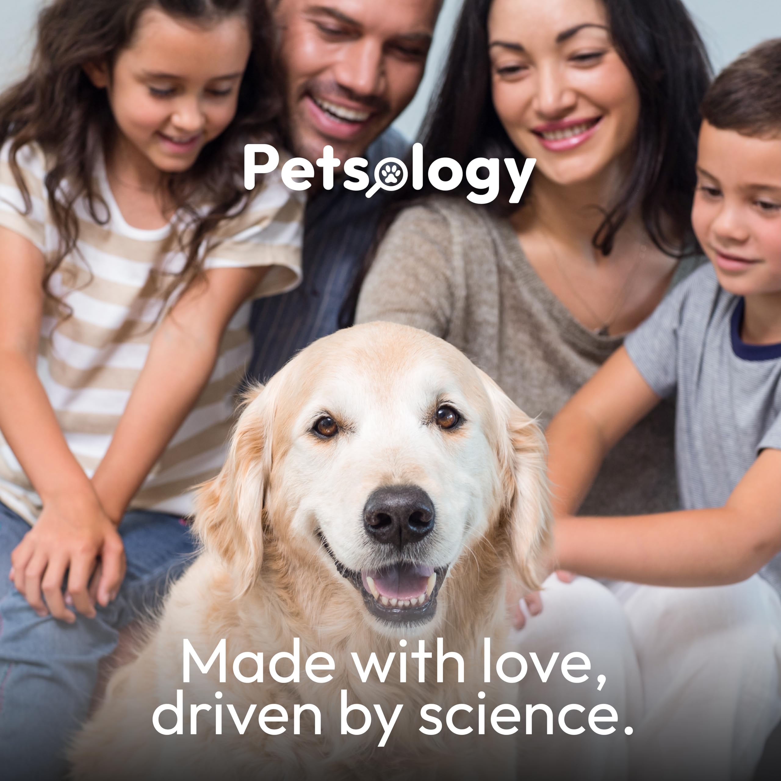 Petsology ingredientes naturales para perros: nutrición para piel y pelo.