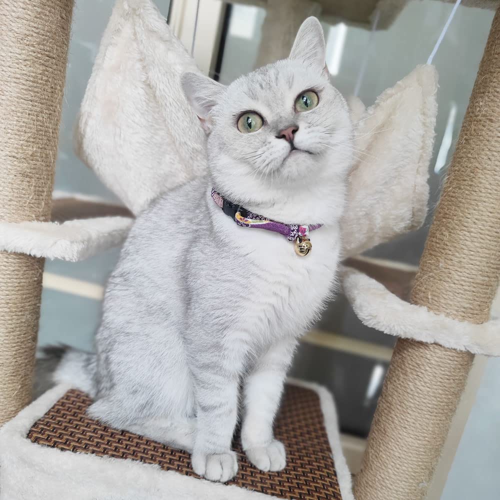 Collar PetSoKoo ajustable para cuellos de gatito y gato adulto.