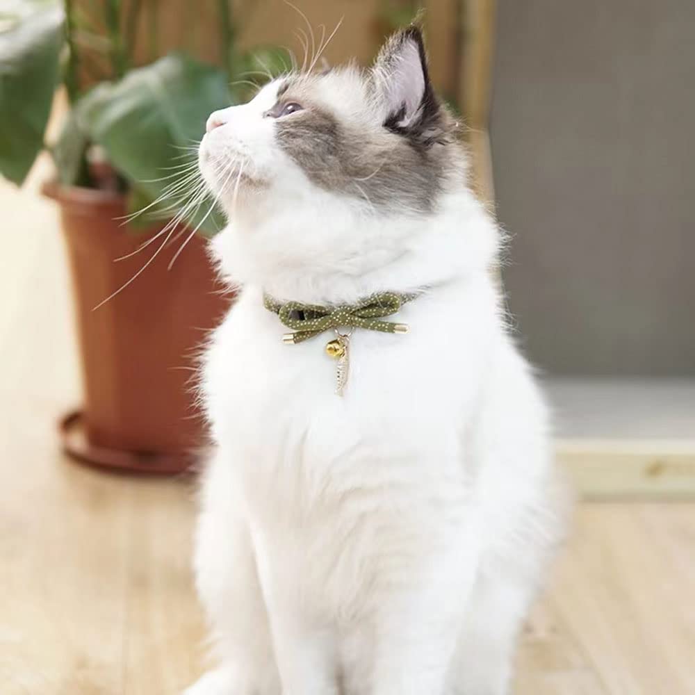 PetSoKoo collar suave y ligero, ideal para gatas y gatitos activos.