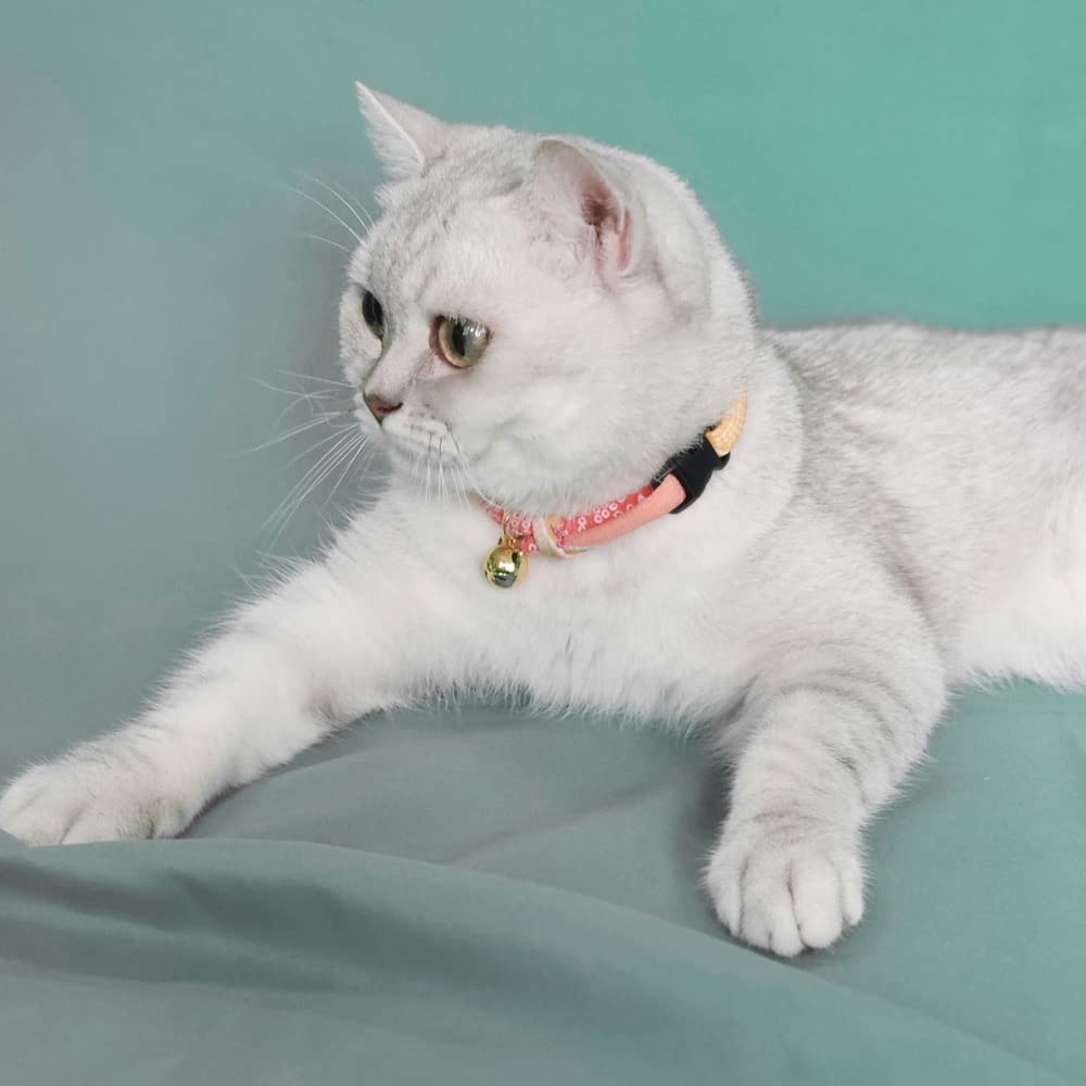 Collar PetSoKoo ligero para paseos diarios y comodidad.