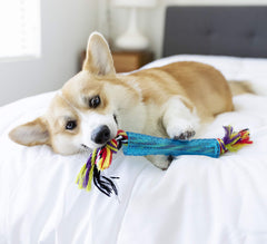 Petstages Orka Stick: forma de palo para lanzar y recoger durante juegos