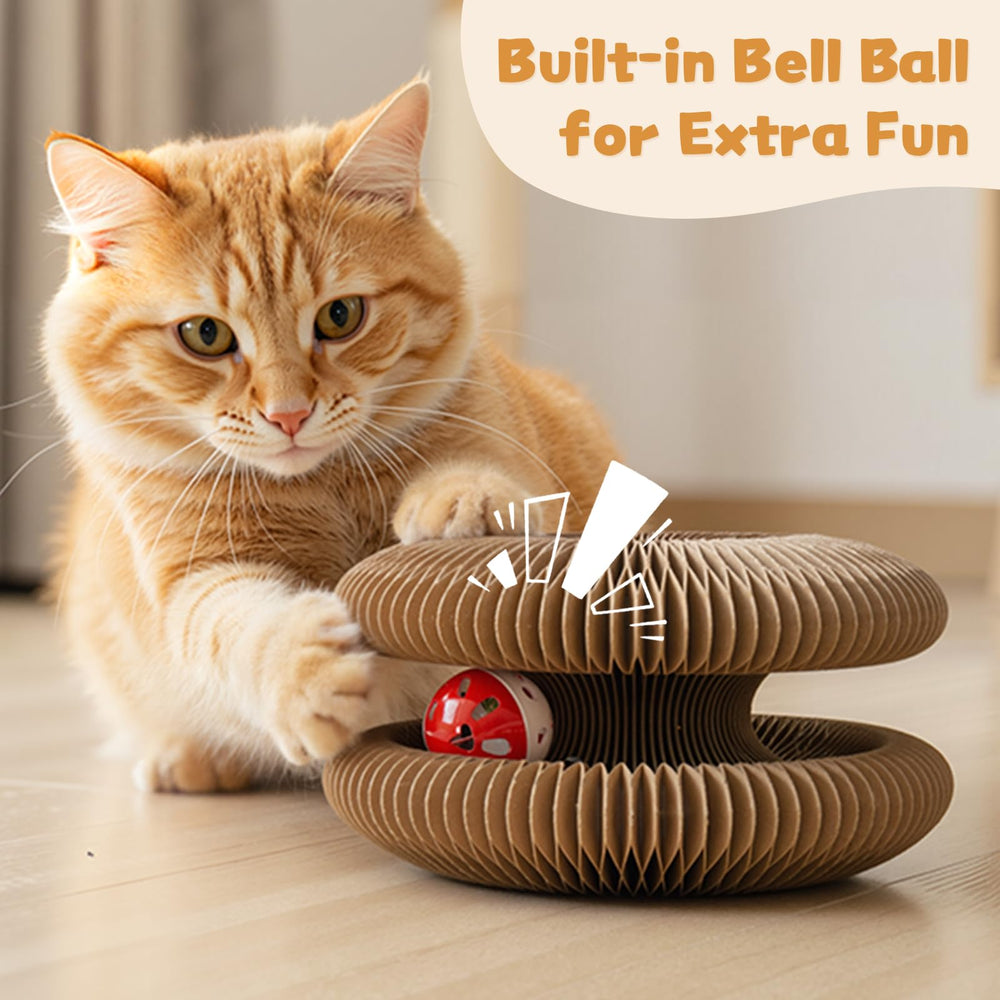 PETSWEET Magic Organ juego interior completo para gatos curiosos.