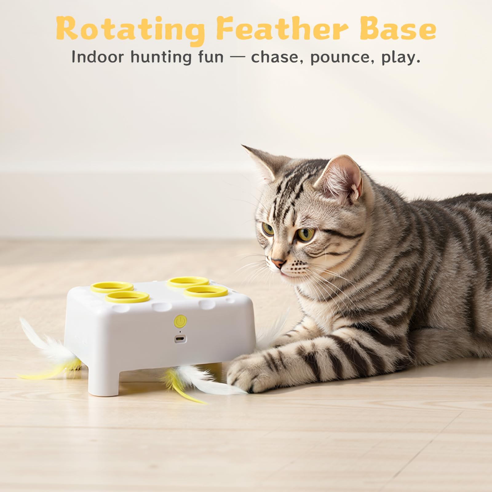 PETSWEET Uso en interiores para mantener a gatos ocupados durante el día.