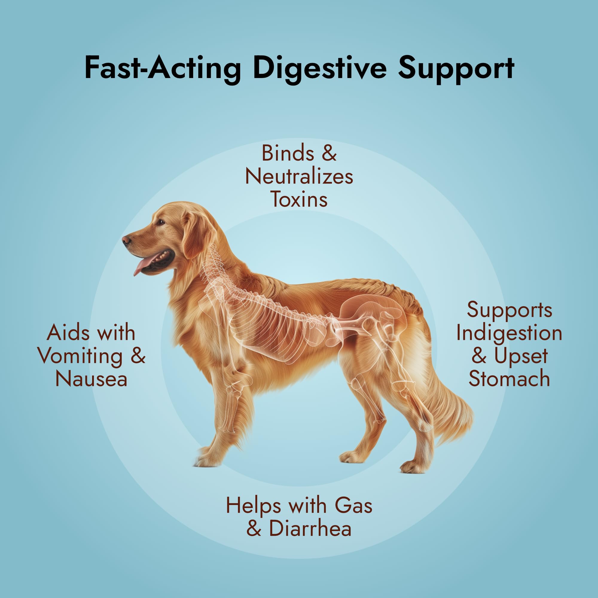 Gel de carbón activado para digestión sensible de mascotas con PetVet Medic.