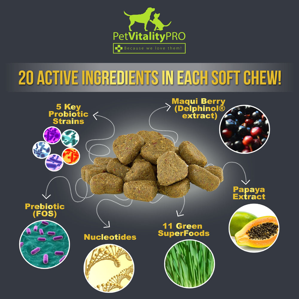 PetVitalityPRO Probióticos para perros, apto durante antibióticos, ayuda a equilibrio digestivo.