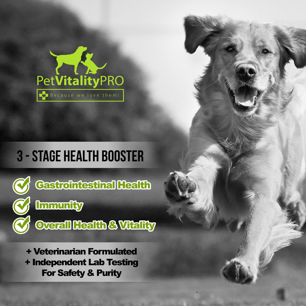 PetVitalityPRO Probióticos para perros, perro, ayuda potencial en diarrea o malestar estomacal.