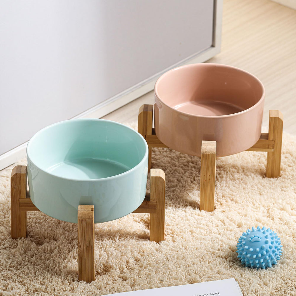 Petygooing tazón elevado para gatos y perros pequeños, una solución versátil.