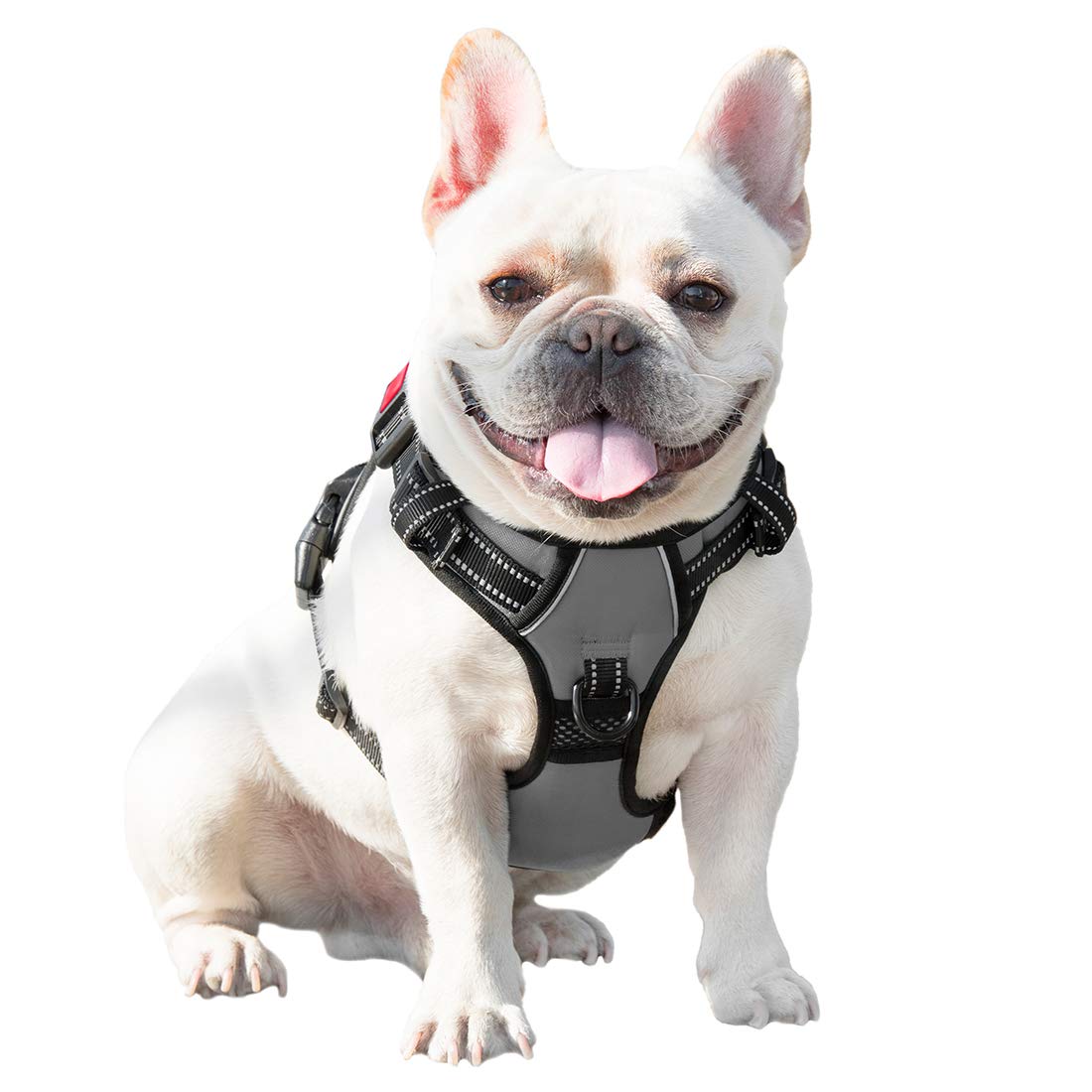 PHOEPET arnés fácil de colocar y quitar, ideal para salidas rápidas