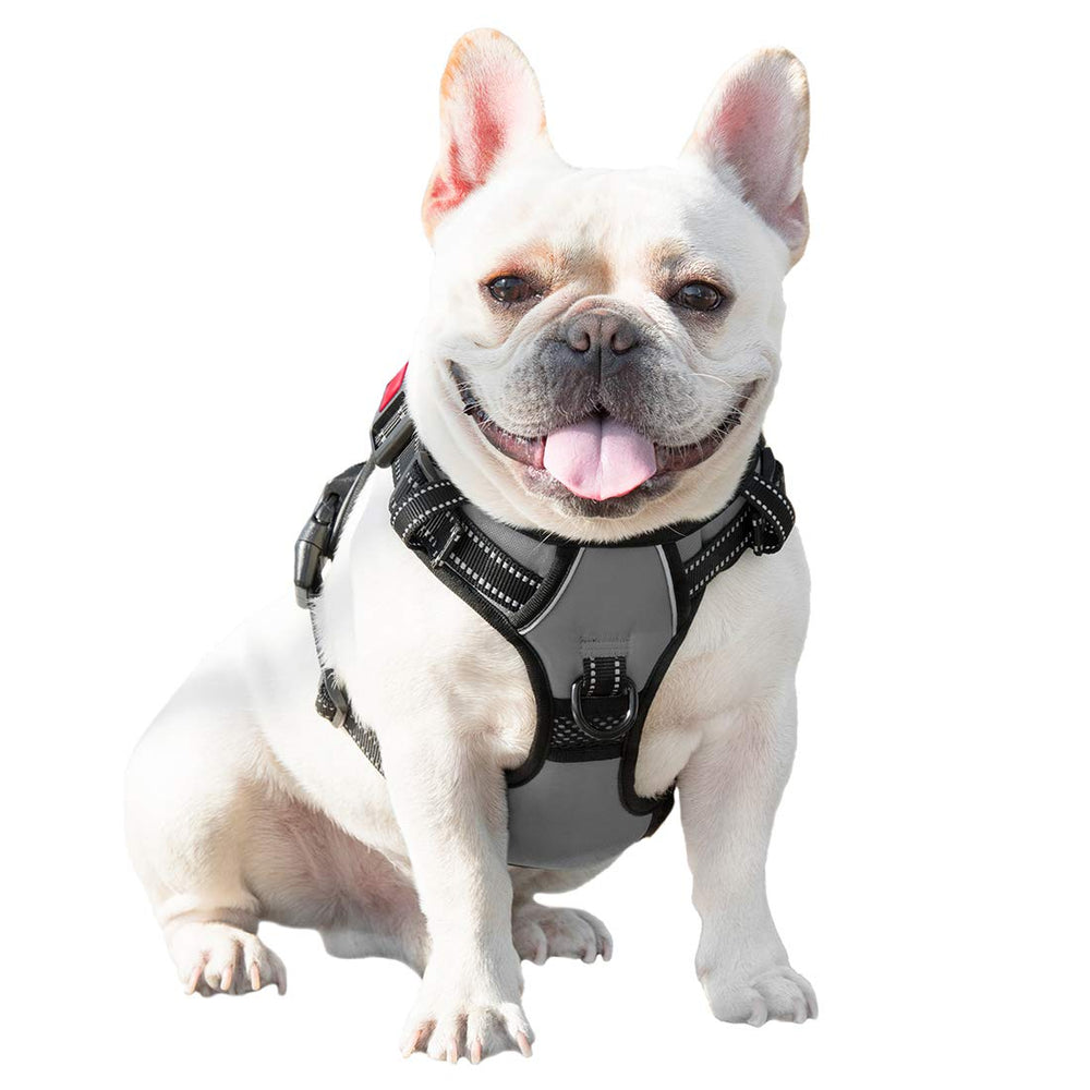 PHOEPET arnés fácil de colocar y quitar, ideal para salidas rápidas
